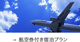 航空券付き宿泊プラン