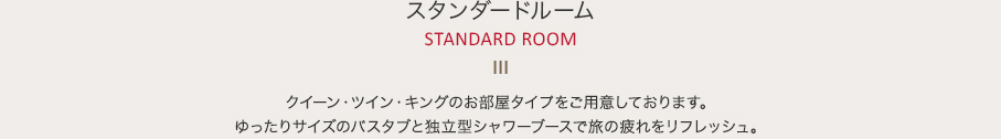 スタンダードルーム